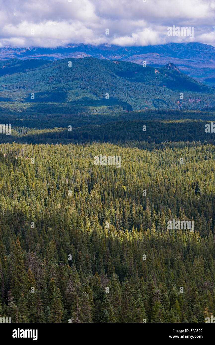 GIFFORD PINCHOT NATIONAL FOREST, WASHINGTON, STATI UNITI D'AMERICA - Indiano cielo deserto. Foto Stock