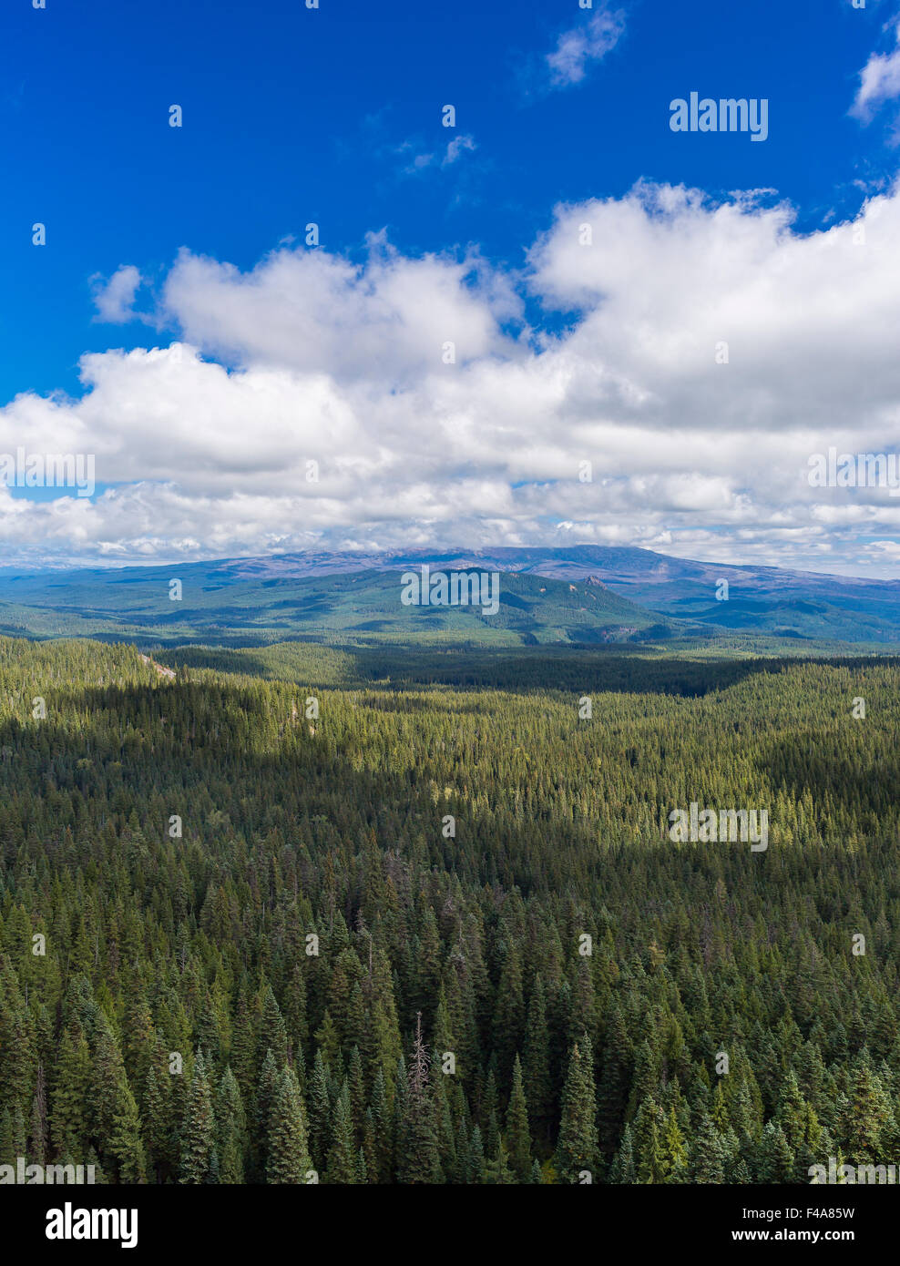 GIFFORD PINCHOT NATIONAL FOREST, WASHINGTON, STATI UNITI D'AMERICA - Indiano cielo deserto. Foto Stock