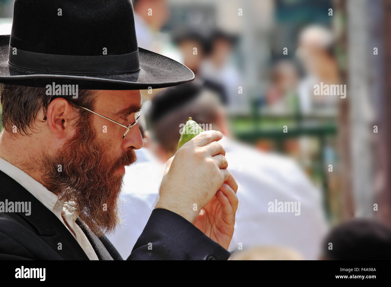 L'ebreo ortodosso in black hat raccoglie gli agrumi Foto Stock