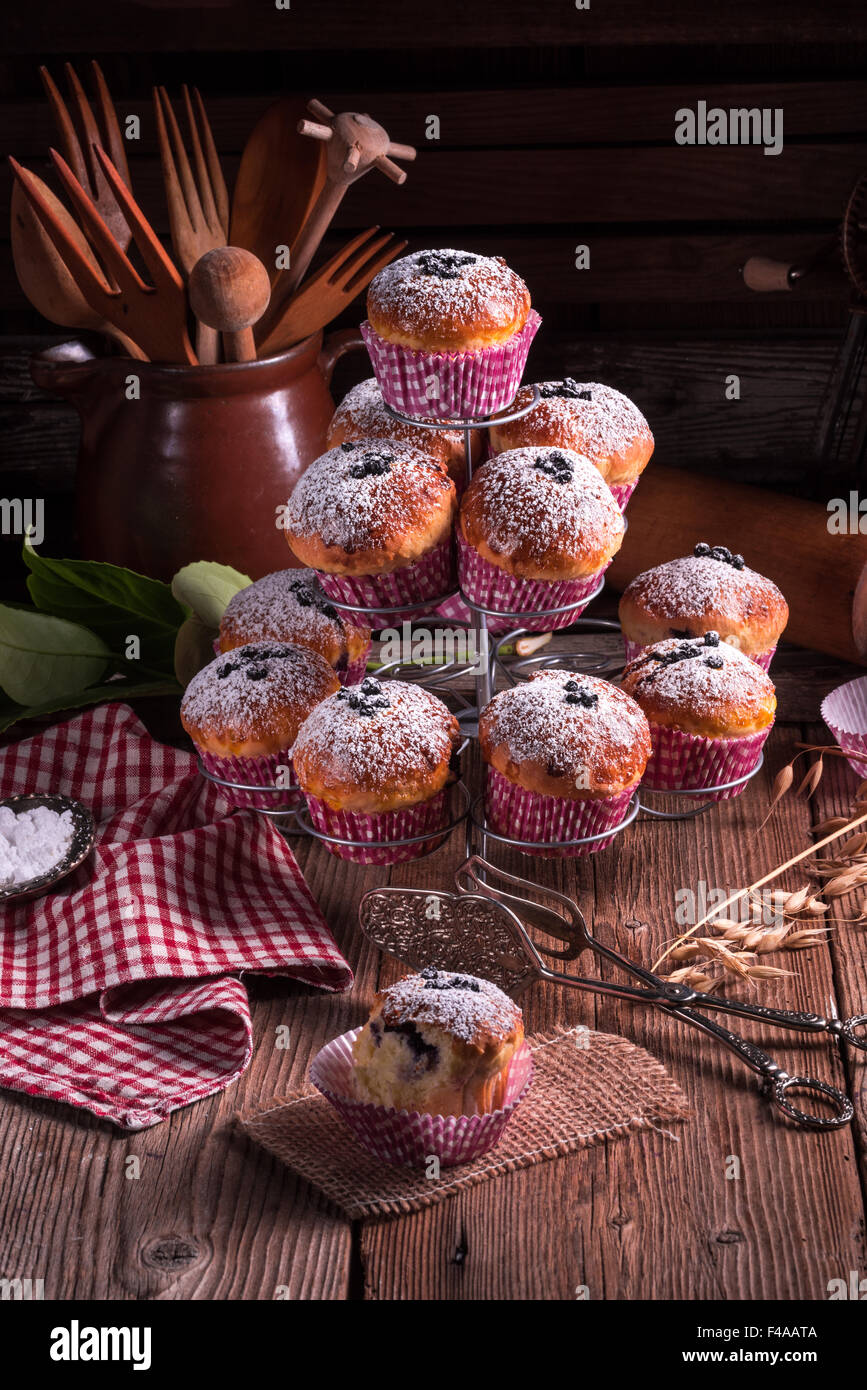 Muffin ai mirtilli Foto Stock