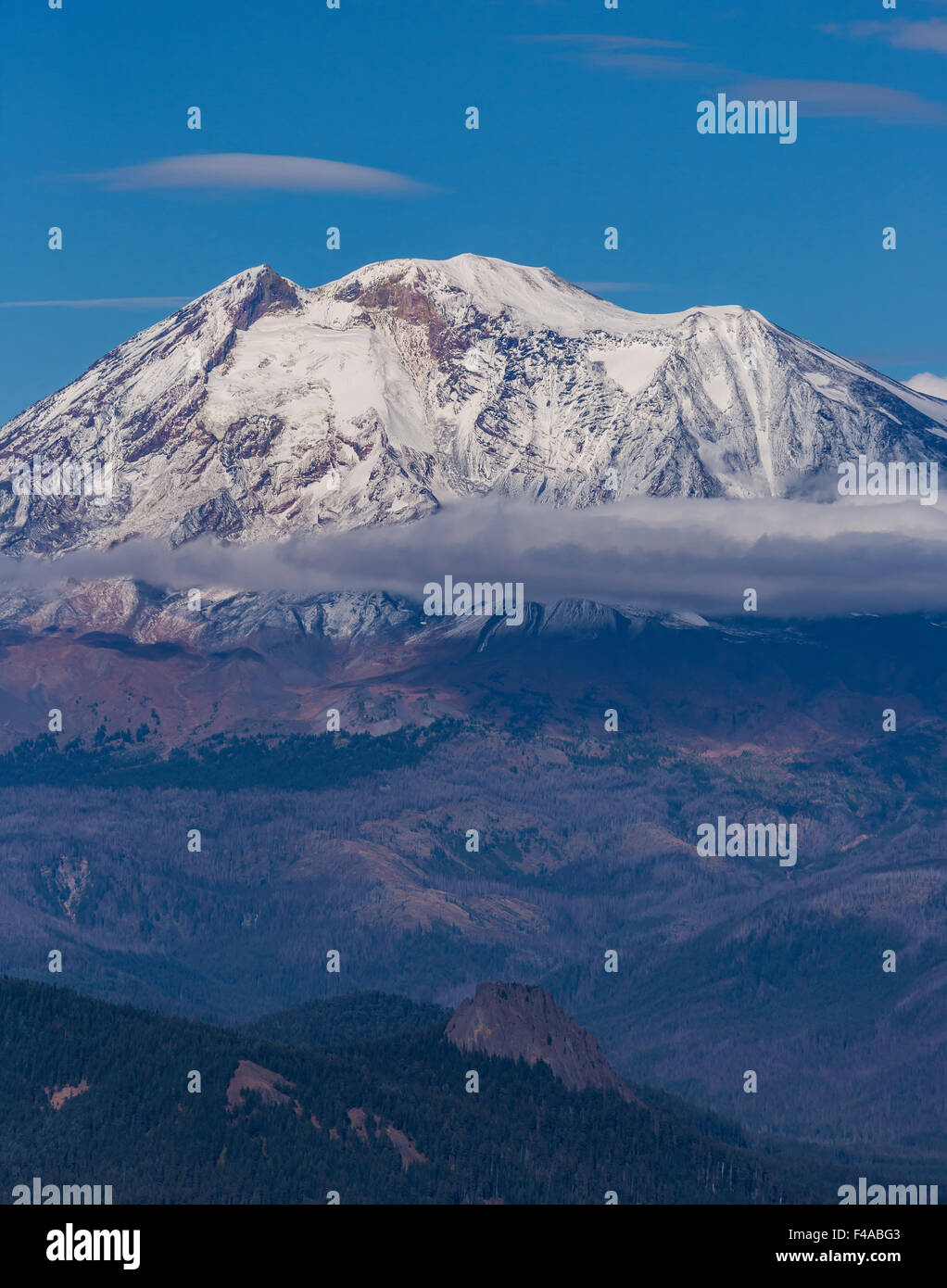 GIFFORD PINCHOT NATIONAL FOREST, WASHINGTON, STATI UNITI D'AMERICA - Il Monte Adams, quota 12,281 ft (3,743 m), la montagna ghiacciate, la cascata di gamma Foto Stock