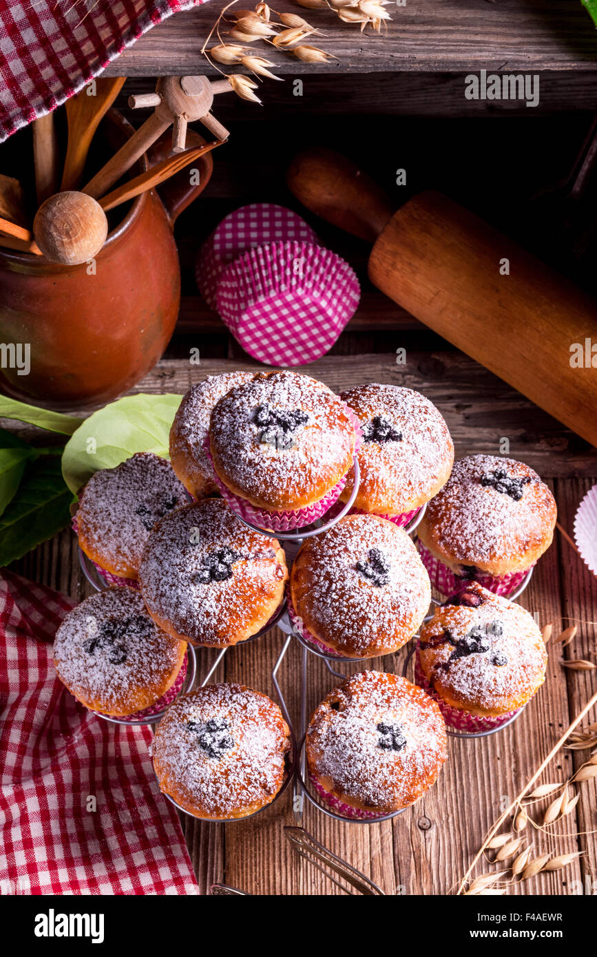 Muffin ai mirtilli Foto Stock