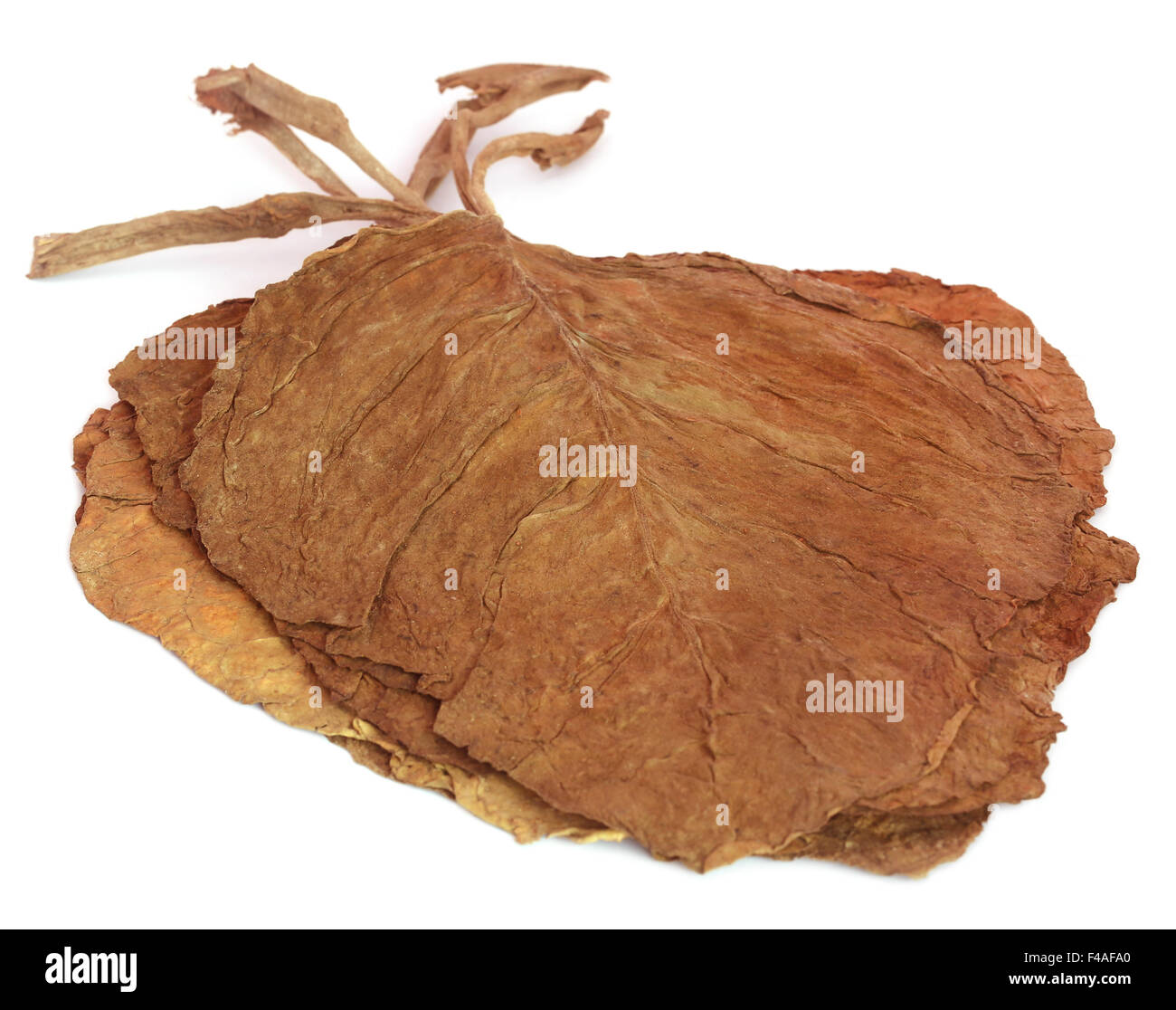 Secchi di foglie di tabacco su sfondo bianco Foto Stock