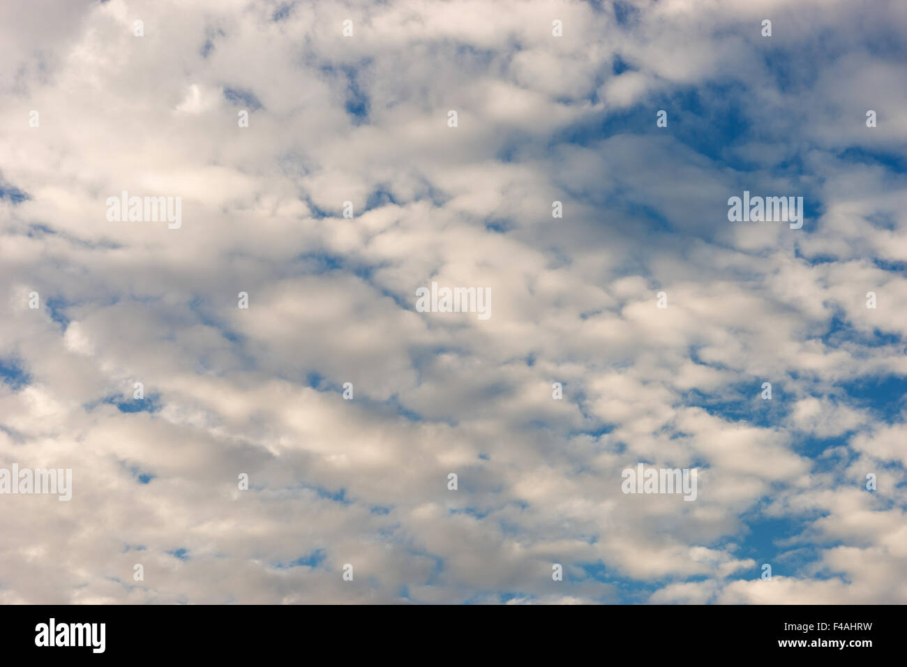 Una scena perfetta di contrasto con le nubi in un cielo blu Foto Stock