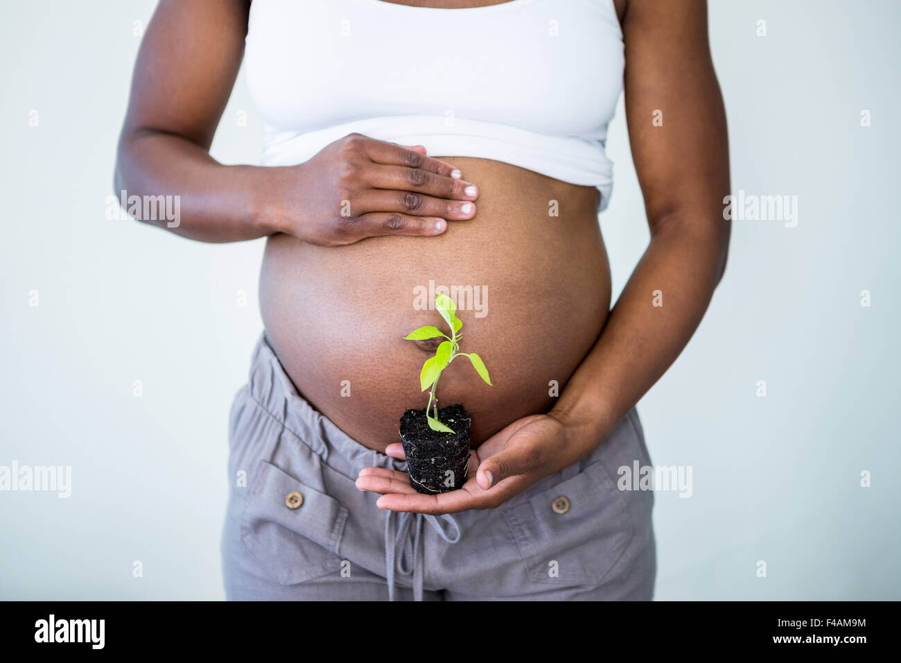 Donna incinta in possesso di una pianta piccola Foto Stock