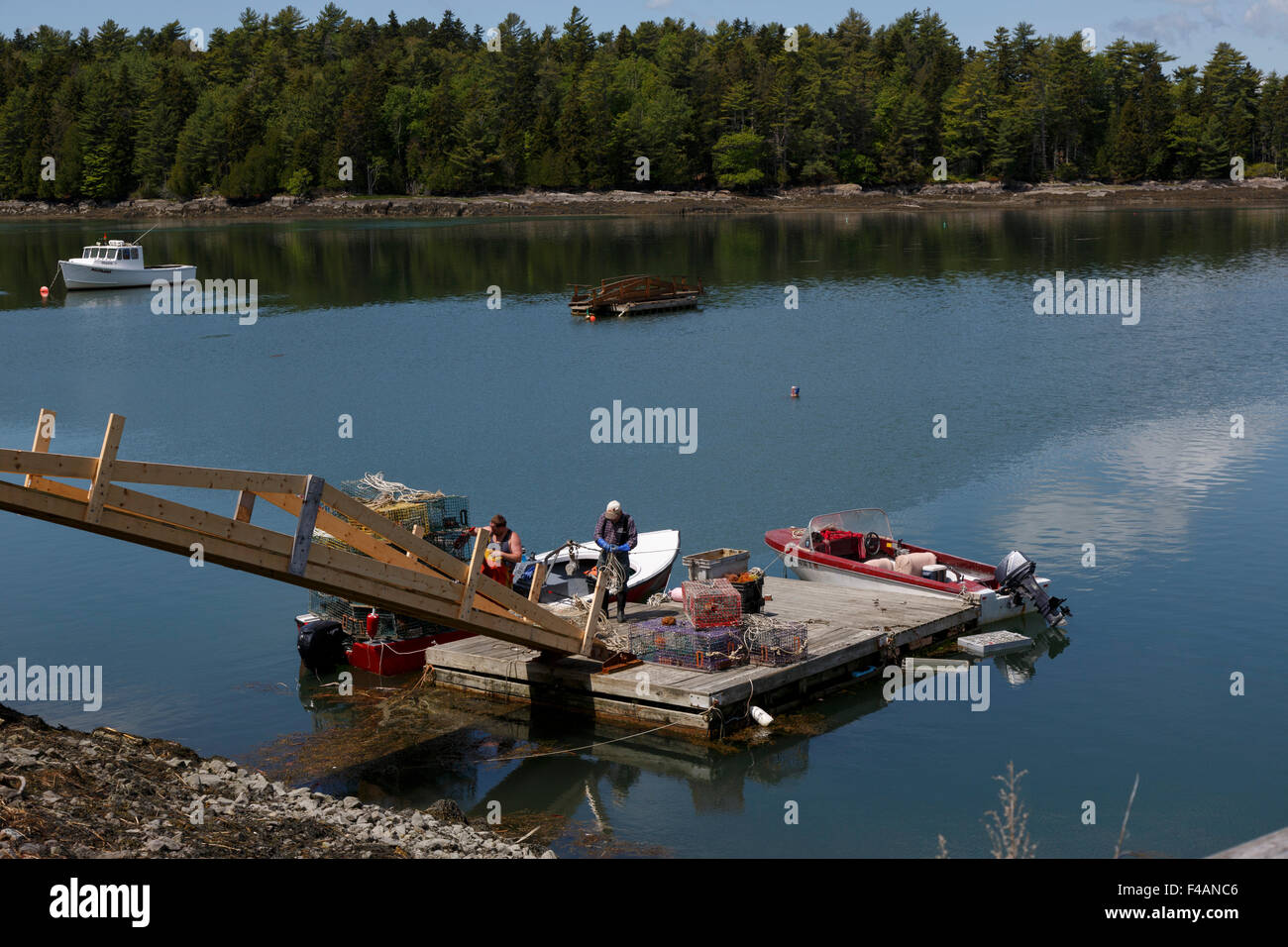 Caricamento del pescatore Lobster Pot su di una piccola imbarcazione da un galleggiante dock in legno Harpswell Sound Maine USA Foto Stock