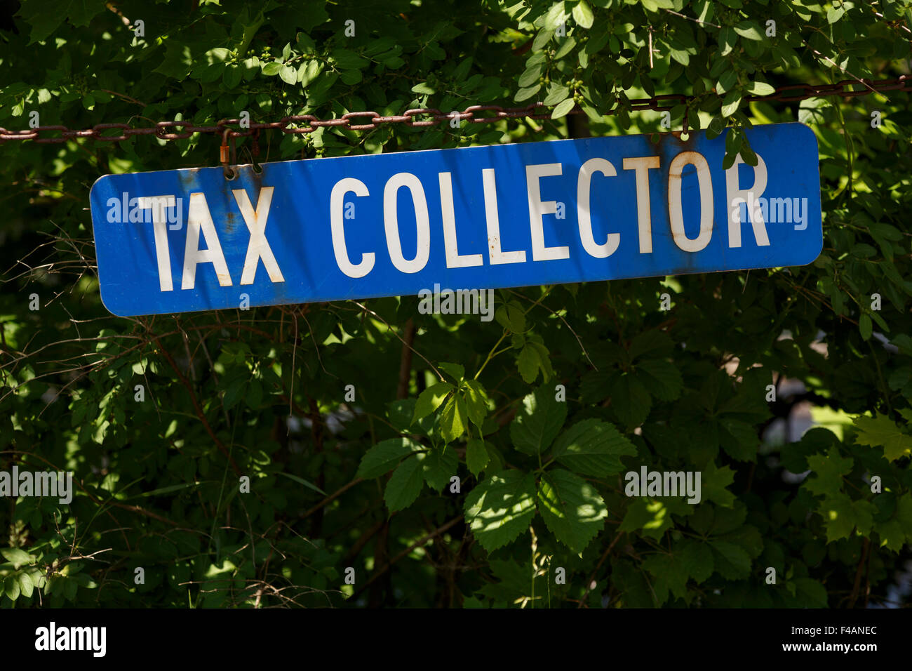 Esattore firmare le lettere in bianco sullo sfondo blu su una siepe Foto Stock