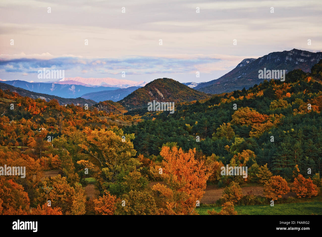 Paesaggio in autunno, Provenza, Francia Foto Stock