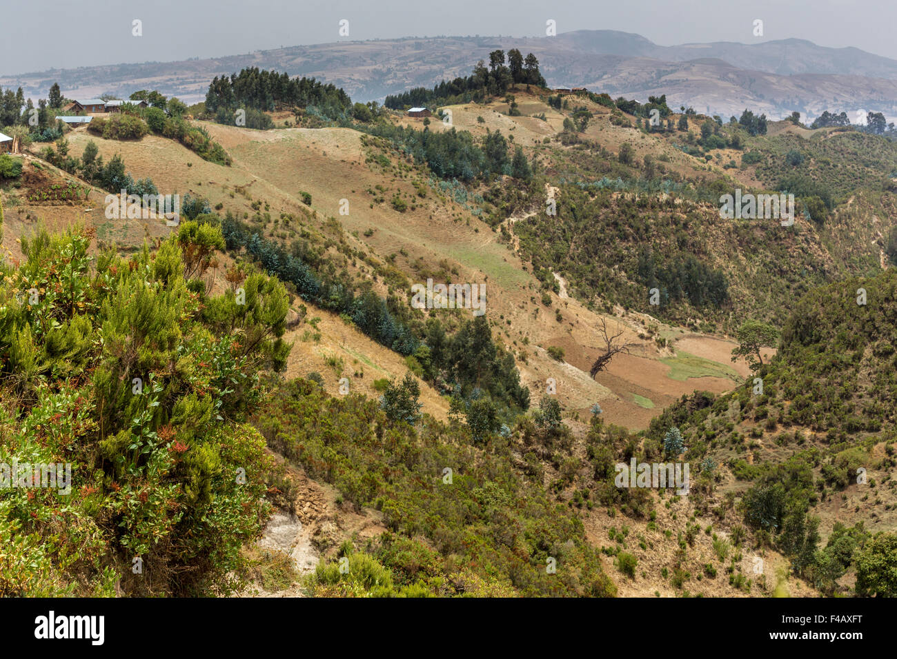 Paesaggi collinari di Etiopia Foto Stock