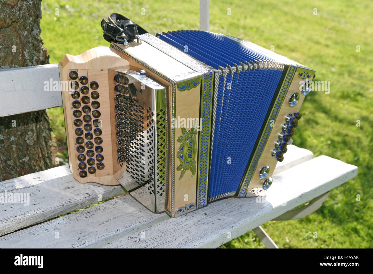 Maglietta Retrò Con Stampa Fisarmonica Stiriana - T-Shirt Per Musicisti E Appassionati - Foto 11