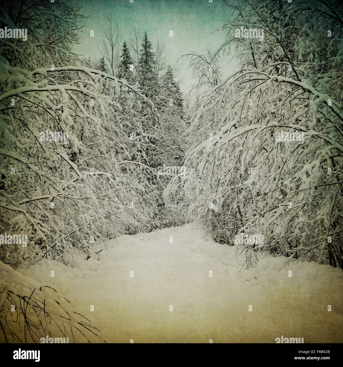 Grunge immagine del paesaggio invernale Foto Stock