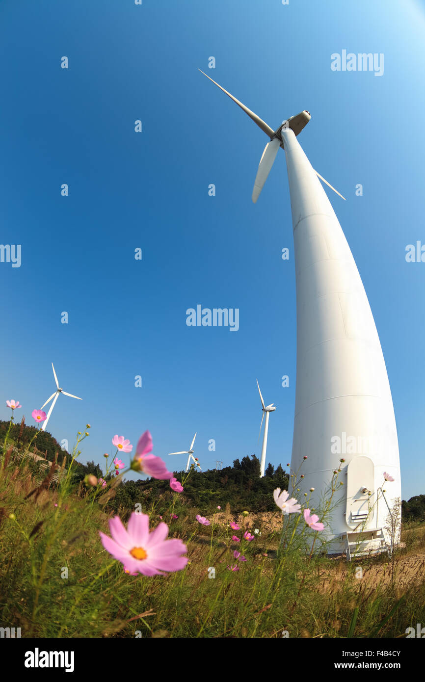 Le turbine eoliche che generano elettricità e fiore Foto Stock