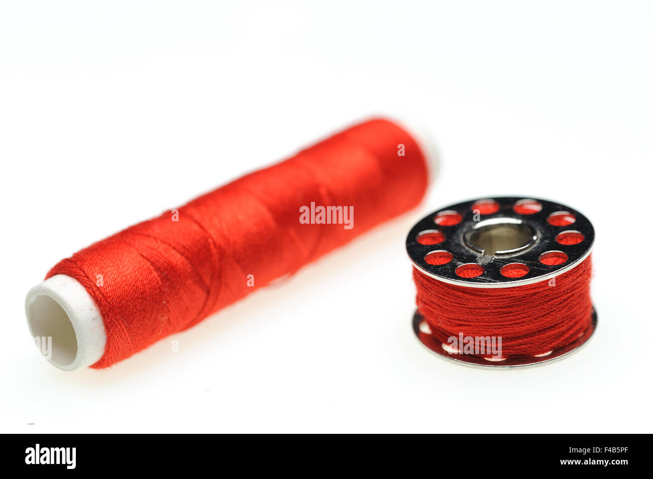 Ancora vita con cotone Foto Stock