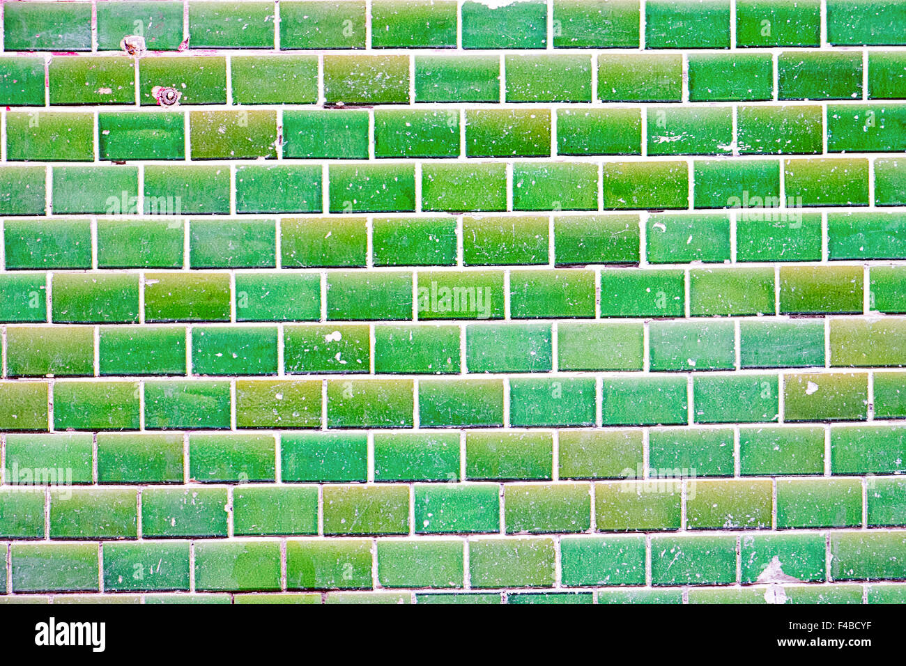 Verde parete piastrellata Foto Stock