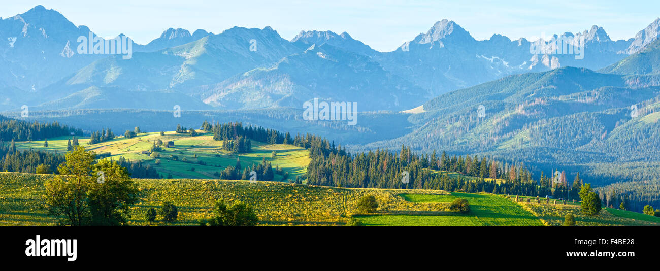 In estate il villaggio di montagna Panorama (Polonia) Foto Stock