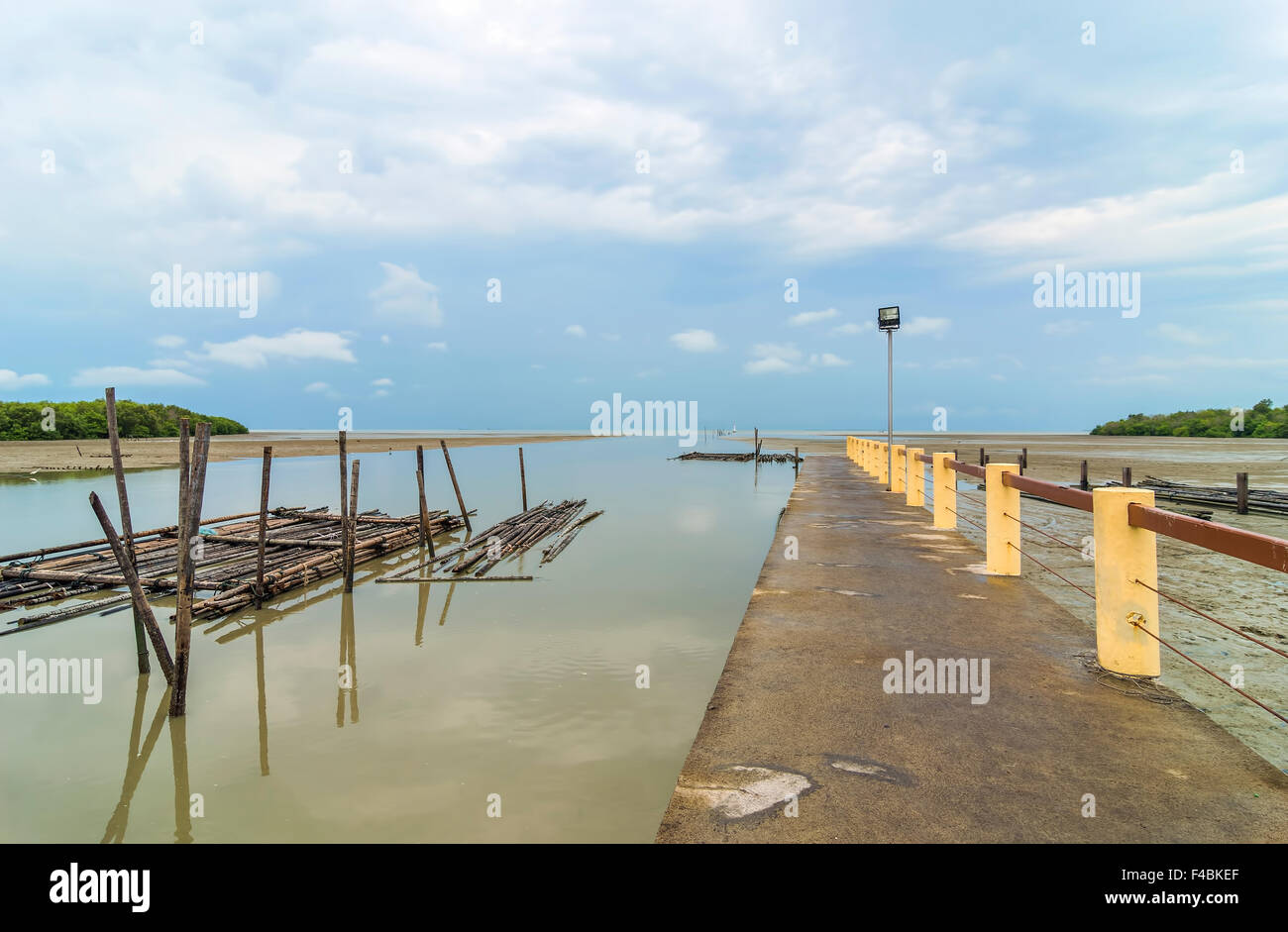 Le mangrovie e pontile a mare con vista nuvoloso Foto Stock