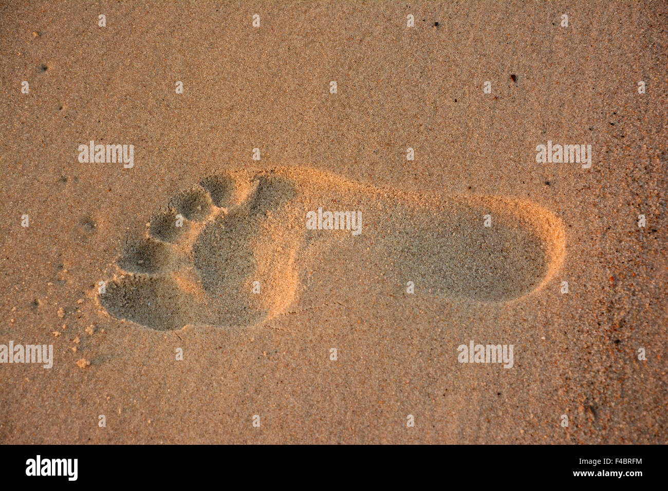 Fußabdruck am Strand Foto Stock