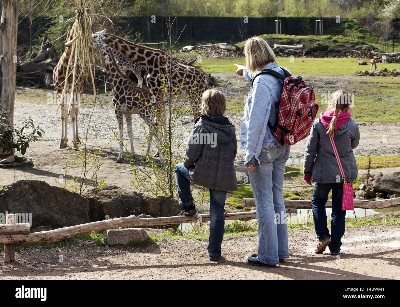 Zoo Zoom, Gelsenkirchen, Germania Foto Stock