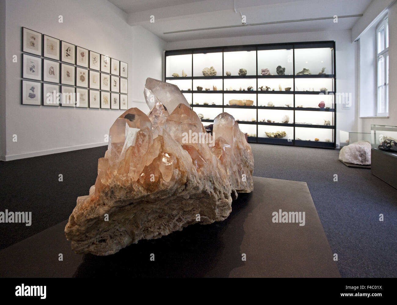 Il museo dei minerali, Essen, Germania Foto Stock