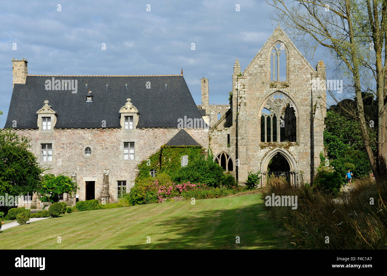 Abbaye de Beauport,le rovine della cappella e batiment au Duc,Paimpol,Cotes-d'Armor,Bretagne,Brittany,Francia Foto Stock