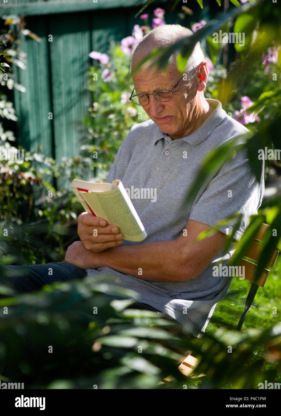 Un vecchio uomo che legge un libro in giardino. Foto Stock