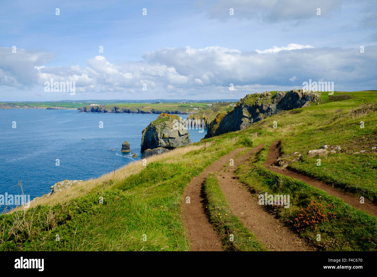 South West Coast path e Cornwall coast view near Mullion, penisola di Lizard, Cornwall, Regno Unito Foto Stock