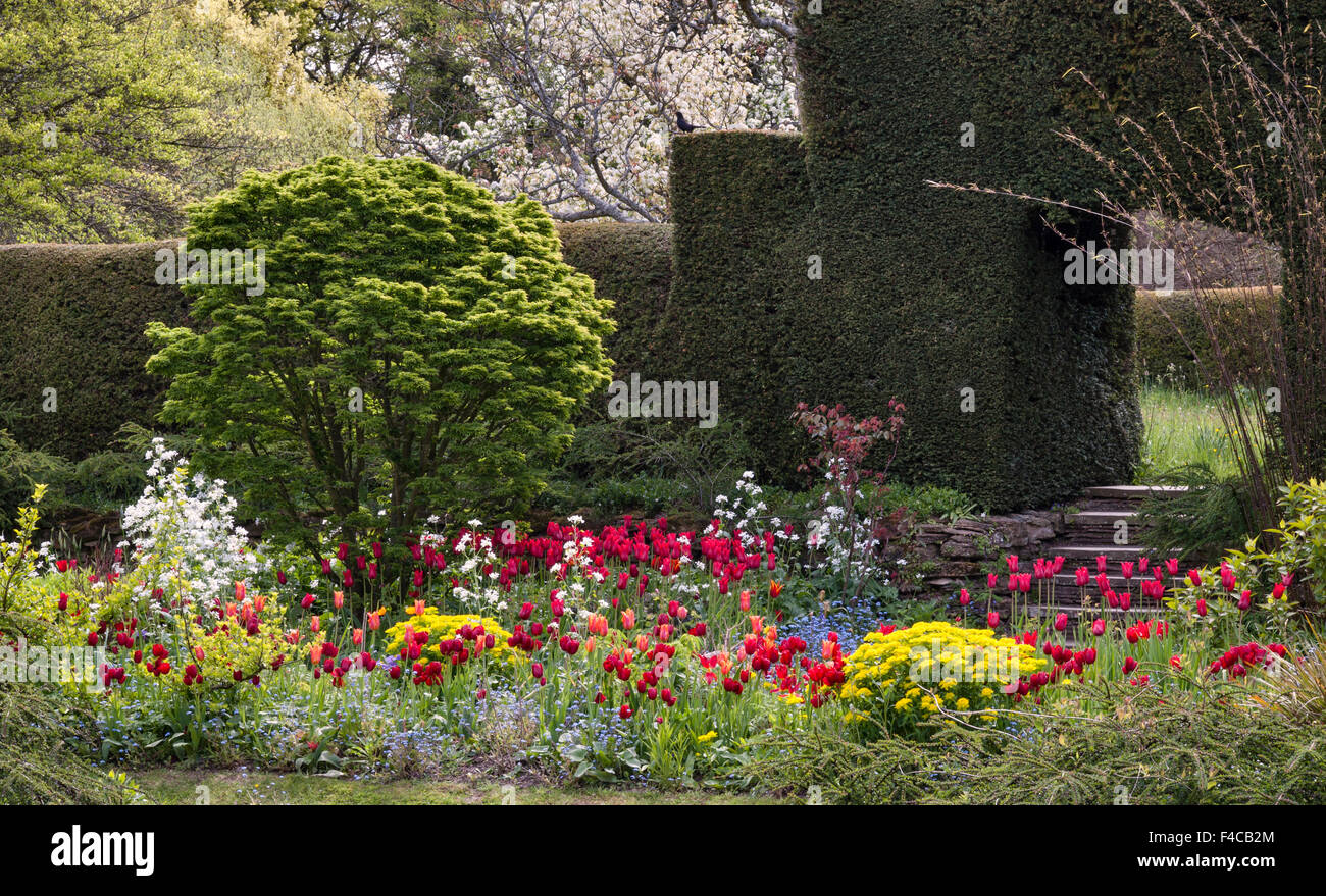 I giardini di Great Dixter, East Sussex, Regno Unito, da Christopher Lloyd. Il Fienile giardino guardando attraverso il giardino affondato in primavera Foto Stock