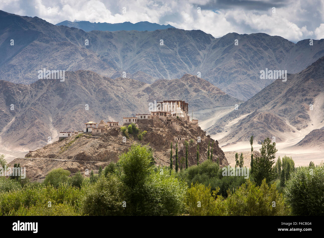 India, Jammu e Kashmir, Ladakh, Stakna Gompa hilltop 'Tiger's naso" setta Drugpa monastero buddista Foto Stock
