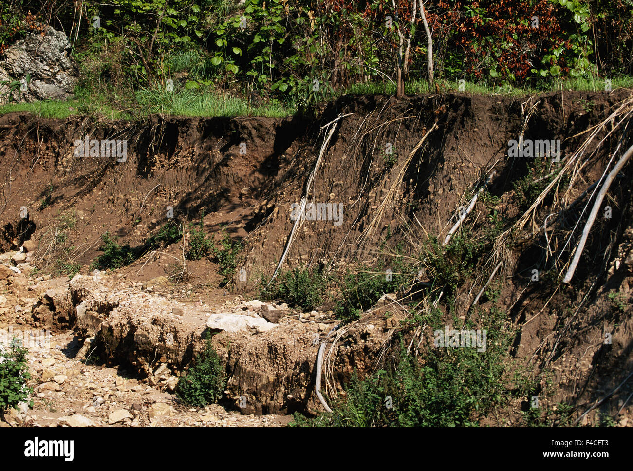 Tanzania, flusso di Gombe. Parco nazionale, inondazione durante la stagione delle piogge nel villaggio. (Grandi dimensioni formato disponibile) Foto Stock
