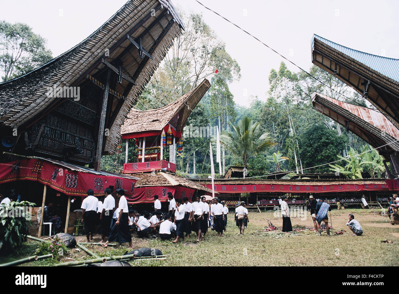 Indonesia, Toraga, persone che celebra una cerimonia funebre. (Grandi dimensioni formato disponibile) Foto Stock