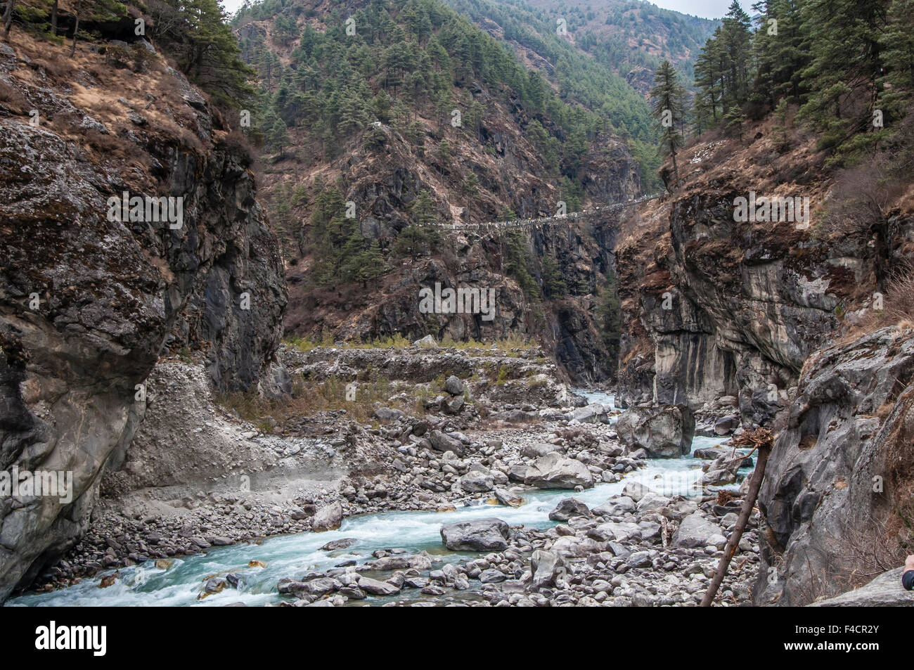 Vista del ponte dal fiume, Nepal. Foto Stock