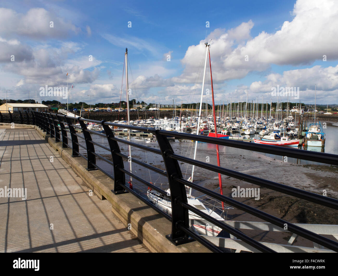 Ampio Marina dal nuovo Coble Quay marciapiede camminare sul mare Northumberland Inghilterra Foto Stock