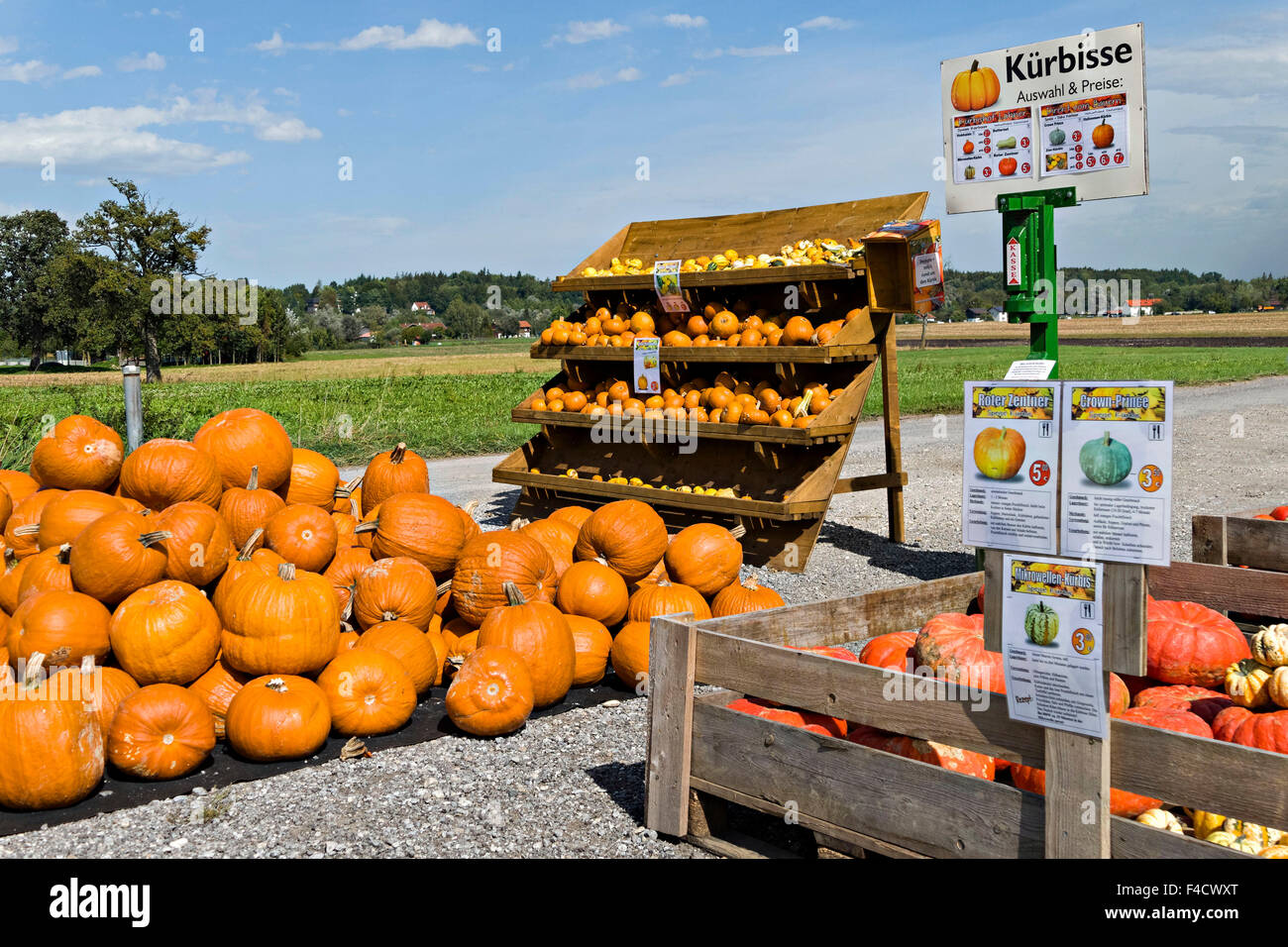 Il tedesco self service sul ciglio della strada stand di zucca, Bad Aibling, Alta Baviera, Germania, Europa Foto Stock