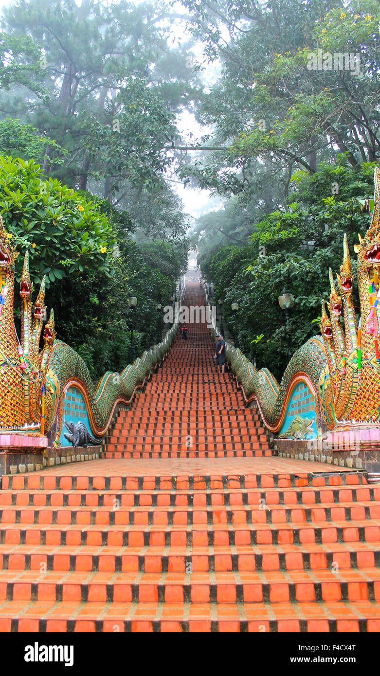 Scala di Wat Phra That Doi Suthep in Chiang Mai Thailandia Foto Stock