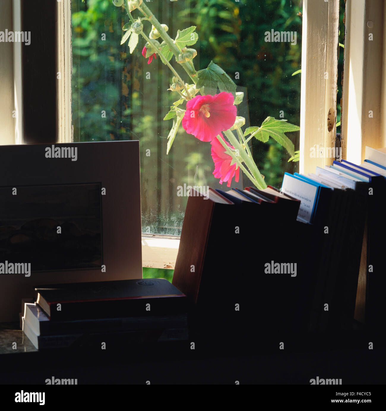 Camera con libri e fiore di finestra in vetro Foto Stock