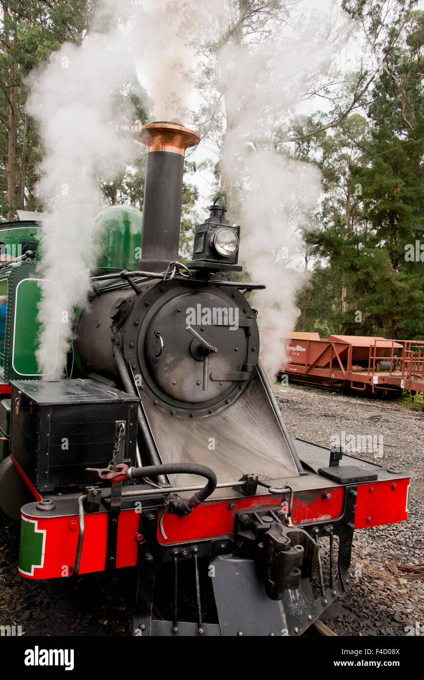 Australia, Dandenong Ranges. Il Puffing Billy, vintage storico treno a vapore, circa 1900. Menzies Creek station. (Grandi dimensioni formato disponibile) Foto Stock