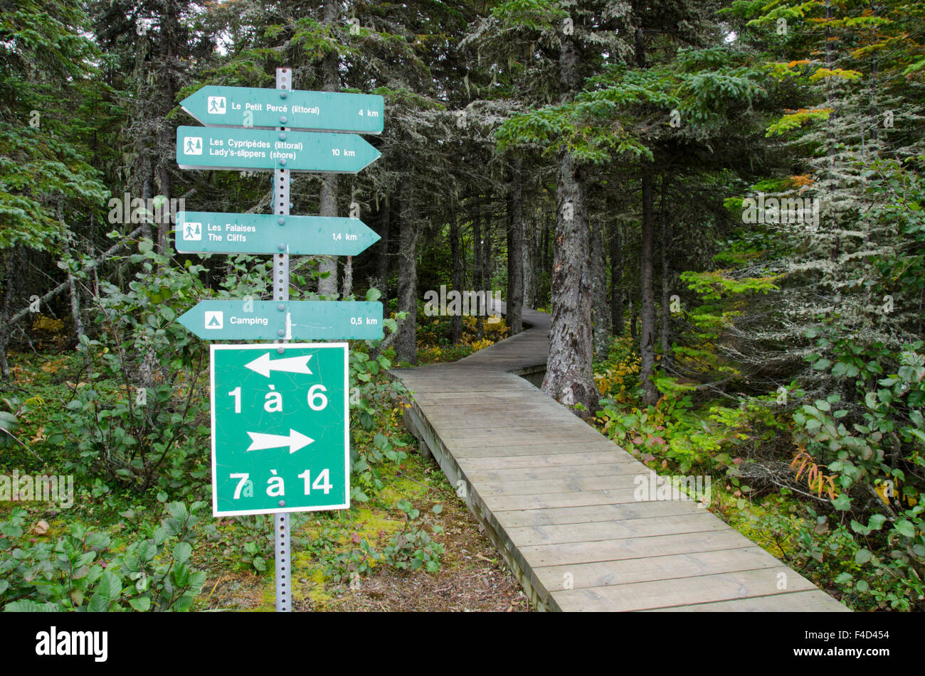 Canada Quebec, Havre St Pierre Mingan Arcipelago Parco Nazionale, lle cava (Isola di cava). Bosco boreale habitat della foresta, parco boardwalk. Foto Stock