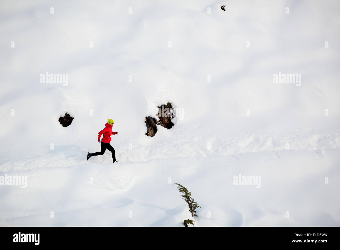 La donna in esecuzione sul bianco della neve nel paesaggio di ispirazione, l'Himalaya in Nepal. Avventura motivazione cross country runner o Foto Stock