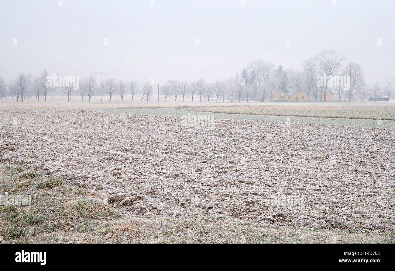 Repubblica Ceca Moravia del nord, Beskydy. Casa Gialla è circondato da alberi e campi di fattoria in mattinata il gelo. Foto Stock