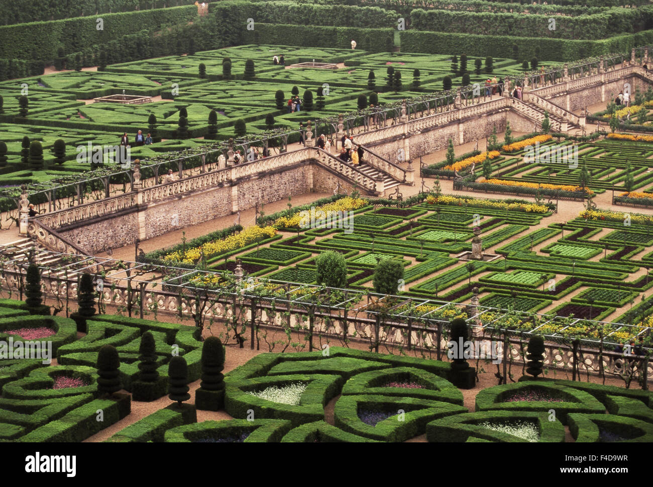 Francia, Indre-et-Loire Villandry Jardins et Chateau, giardino formale al Chateau de Villandry. (Grandi dimensioni formato disponibile) Foto Stock