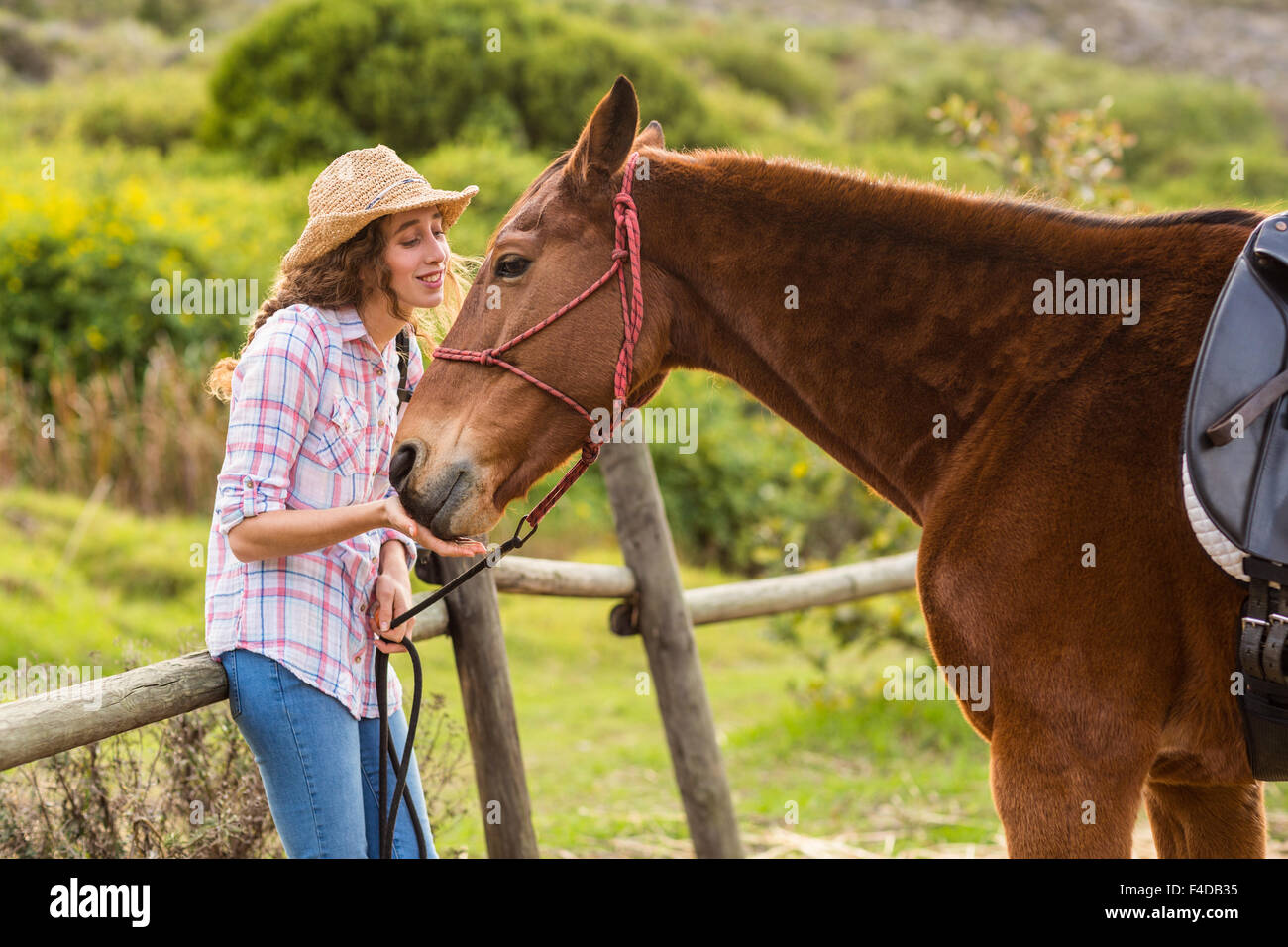 Giovane donna con il suo cavallo Foto Stock