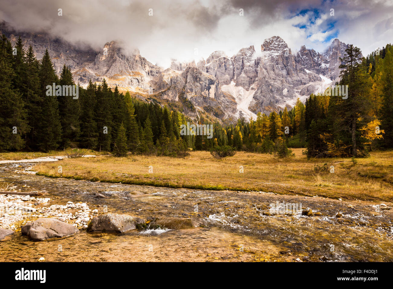 Le Pale di San Martino del massiccio. Val Venegia valle, torrent. Le Dolomiti del Parco Naturale Paneveggio-Pale di San Martino. Il Trentino. Alpi italiane. Foto Stock