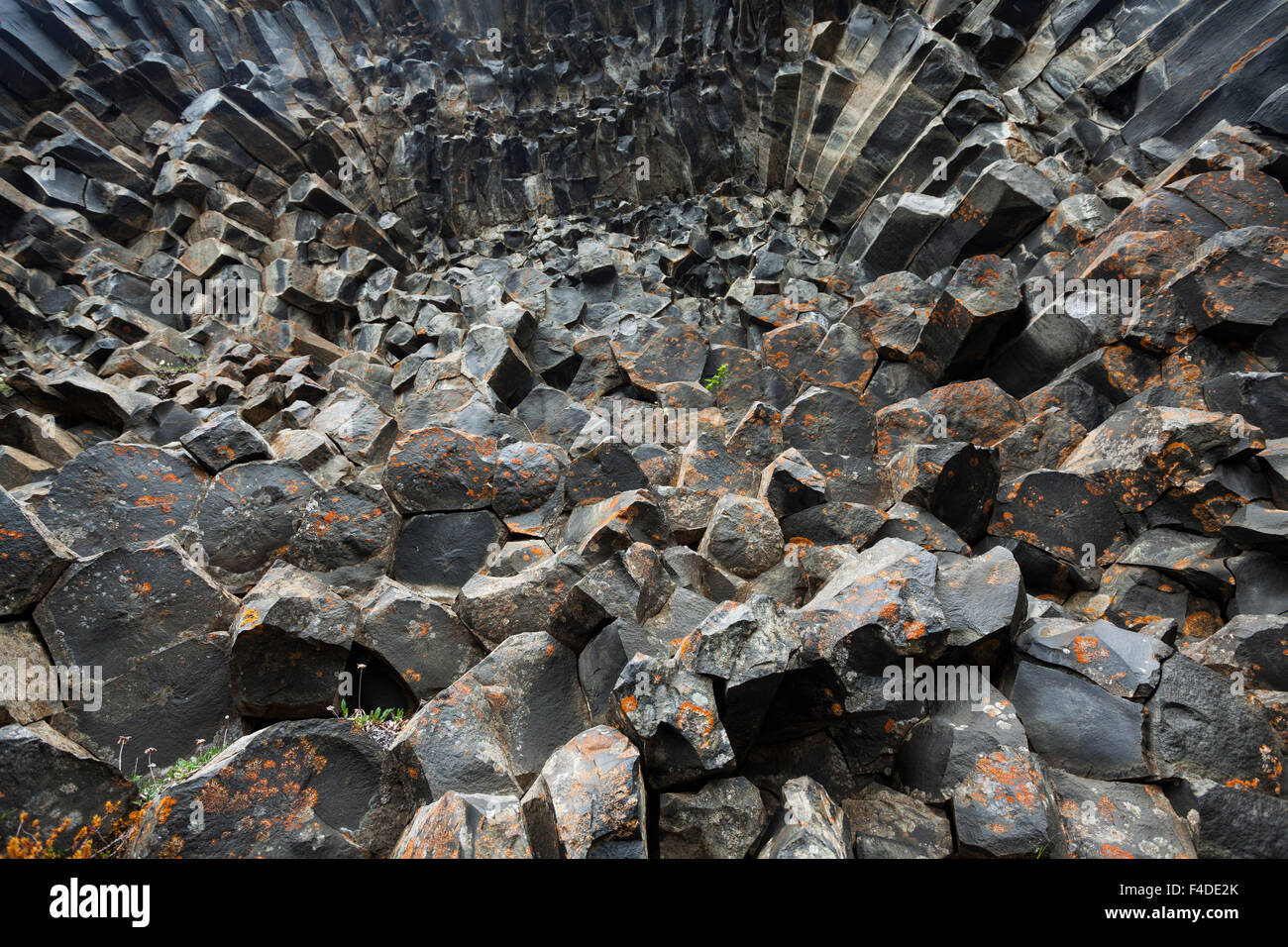 Schema naturale delle rocce basaltiche a Hljodaklettar, Jokulsargljufur, Nordhurland Eystra, Islanda. Foto Stock