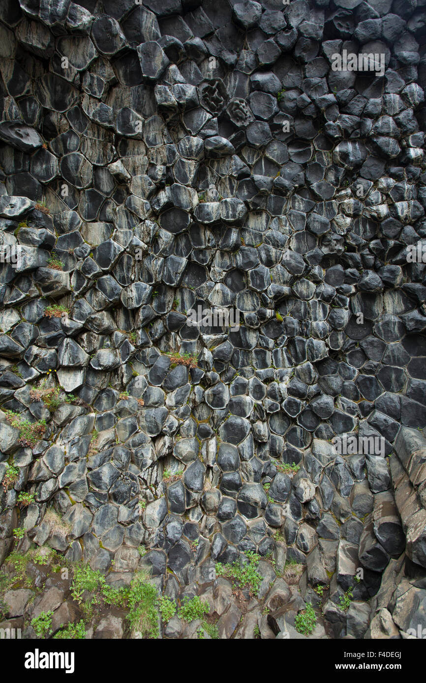 Schema a nido d'ape di rocce basaltiche a Hljodaklettar, Jokulsargljufur, Nordhurland Eystra, Islanda. Foto Stock