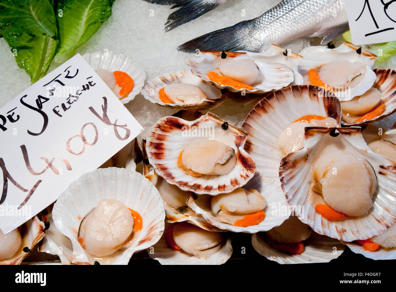 Capesante, mercato del pesce al Ponte di Rialto, Venezia, Veneto, Italia. Foto Stock