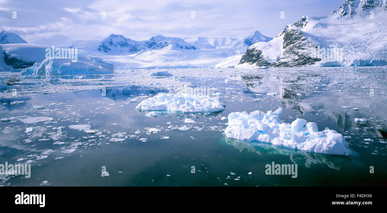 Iceberg antartico. Foto Stock