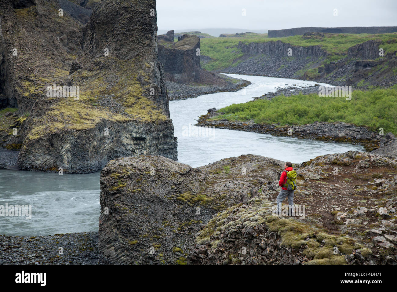 Persona e formazioni di basalto accanto Jokulsa a Fjollum Rver, Hljodaklettar, Jokulsargljufur, Nordhurland Eystra, Islanda. Foto Stock