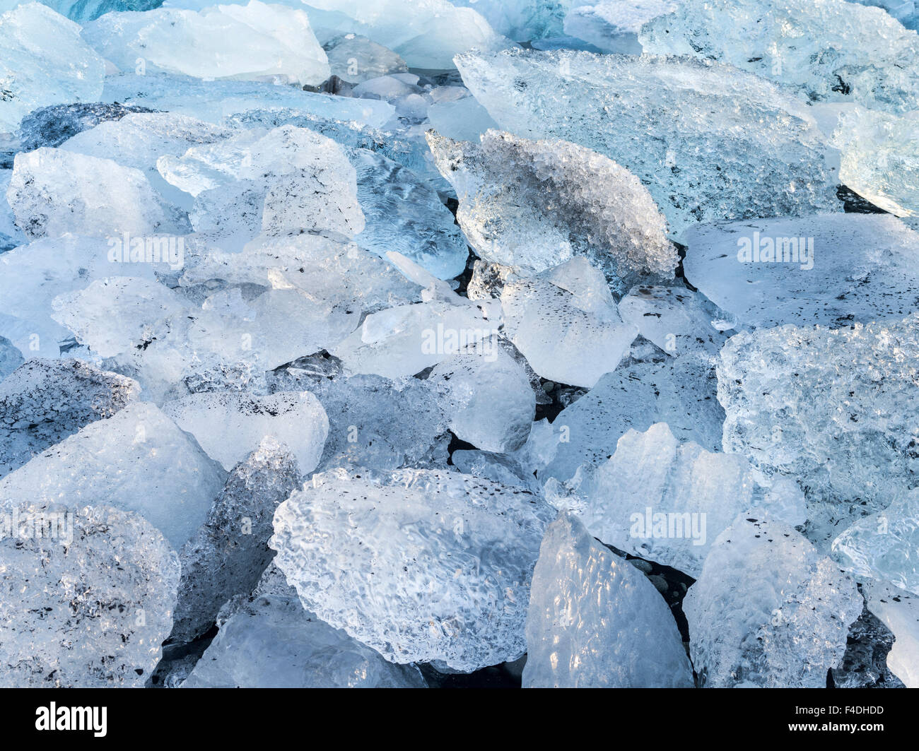 Iceberg nero sulla spiaggia vulcanica. North Atlantic Beach della laguna di ghiaccio Joekulsarlon presso il Glacier Breithamerkurjoekull, Vatnajoekull NP. L'Europa, Islanda (formato di grandi dimensioni disponibili) Foto Stock