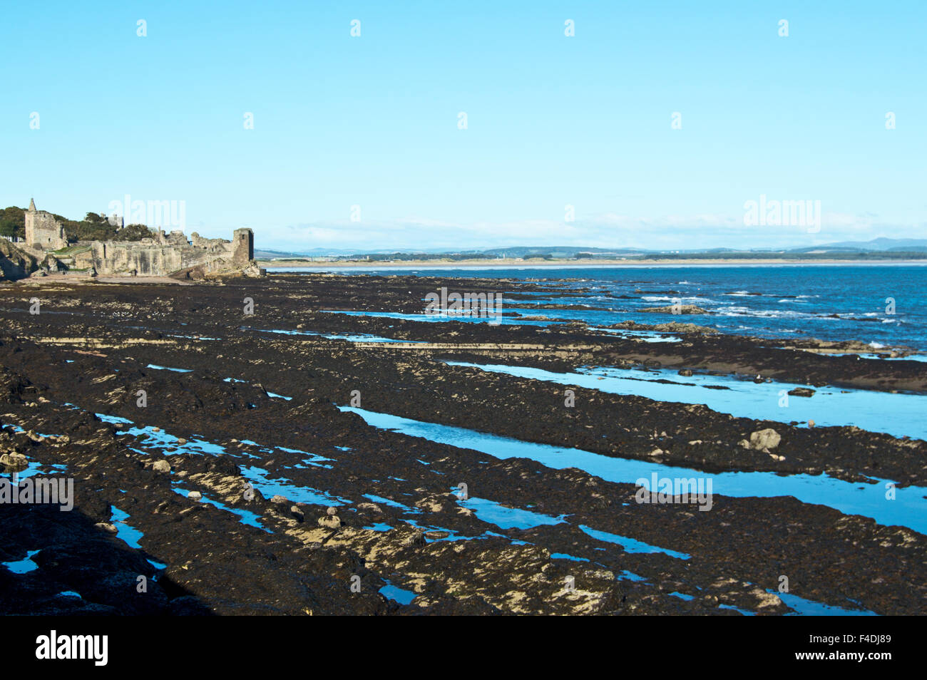 St Andrews e West Sands, Scozia Foto Stock