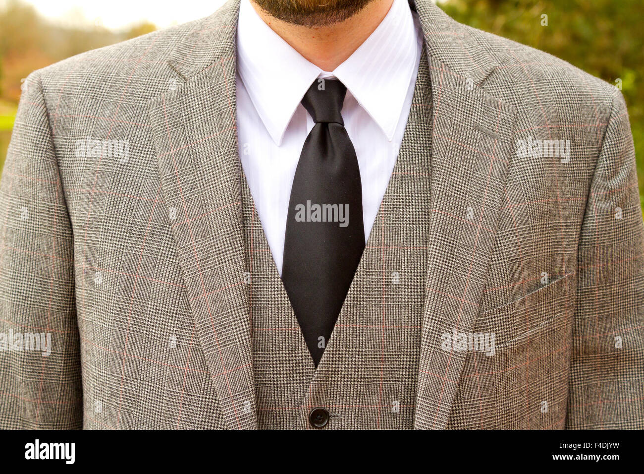 Giorno di nozze tuta indossata dal govern è plaid tweed tessuto. Foto Stock